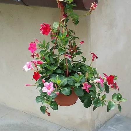 Bed & Breakfast Le Torri Di Firenze